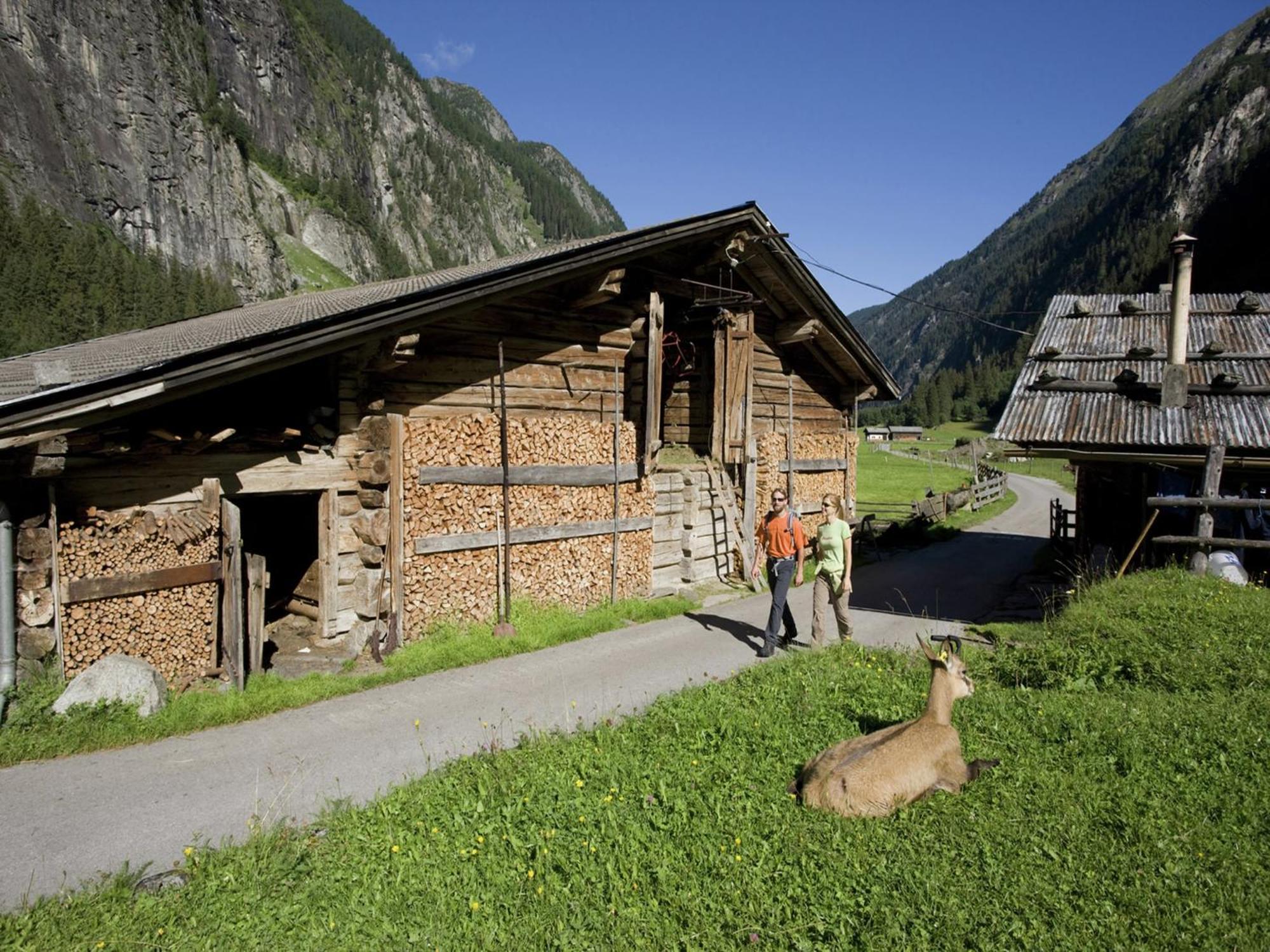 Spacious Near Area In Kaltenbach